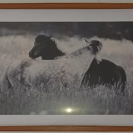 Apartman Nelli Free Parking Šamorín